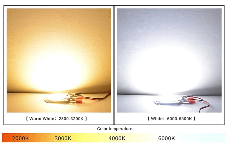 LED Chip COB lamp 10W 20W 30W 50W AC 220V 240V IP65 Smart IC No Need Driver DIY Flood light Led Bulb Spotlight Outdoor Lamp bead