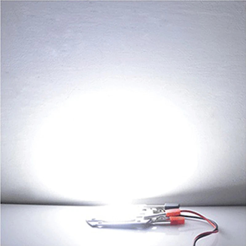 LED Chip COB lamp 10W 20W 30W 50W AC 220V 240V IP65 Smart IC No Need Driver DIY Flood light Led Bulb Spotlight Outdoor Lamp bead